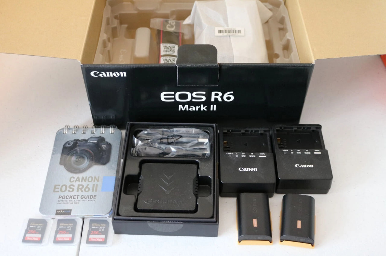 Canon EOS R6 Mark II 24.2 MP Digital Camera- Black (Body Only)